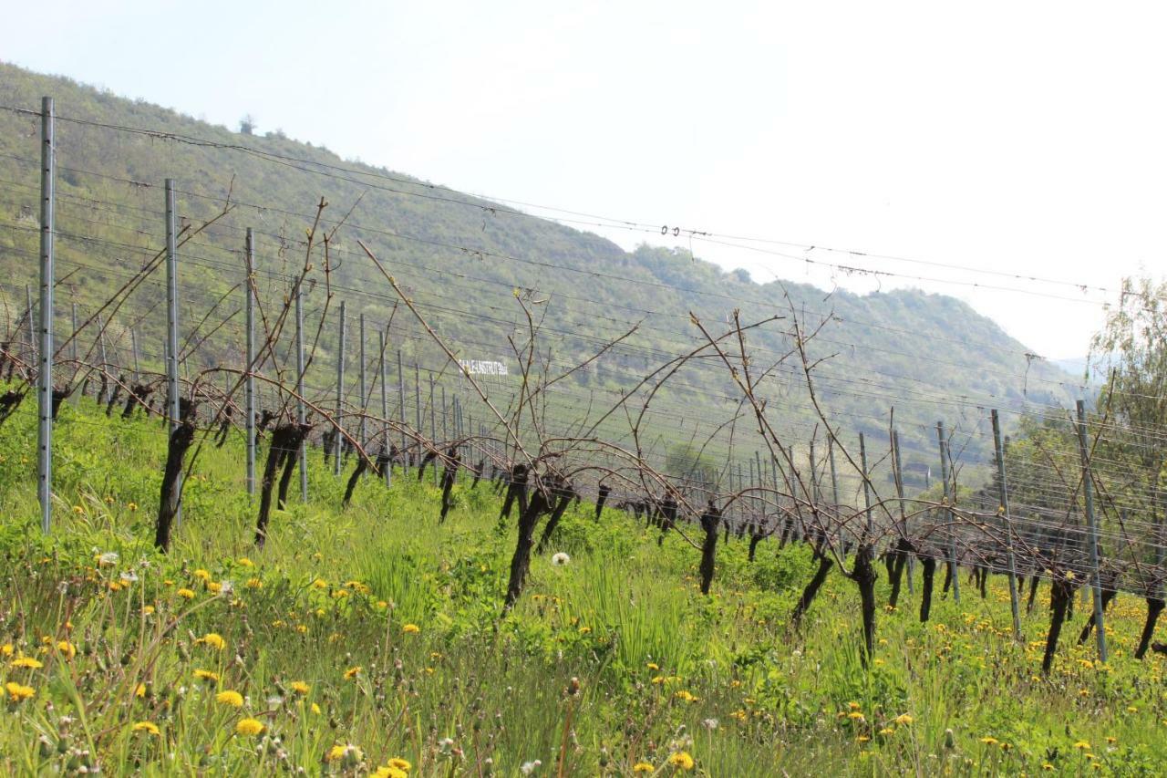 Ferienwohnung Weingut Kloster Pforta Наумбург Экстерьер фото
